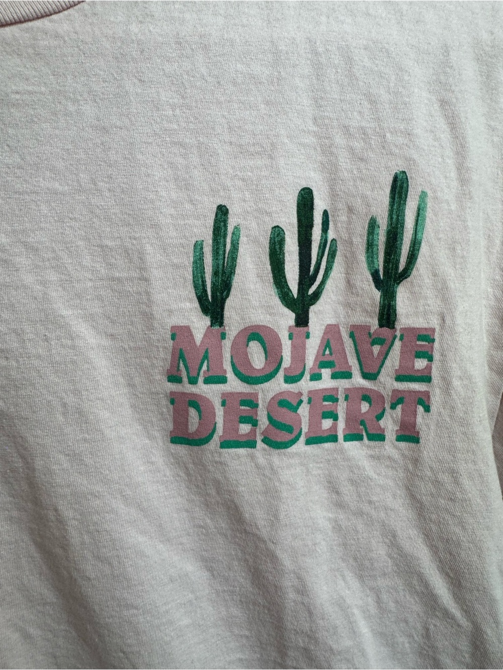 Mojave Desert Cactus Graphic Short Sleeve Tee - Light Pink